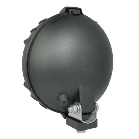 Kippen lamp